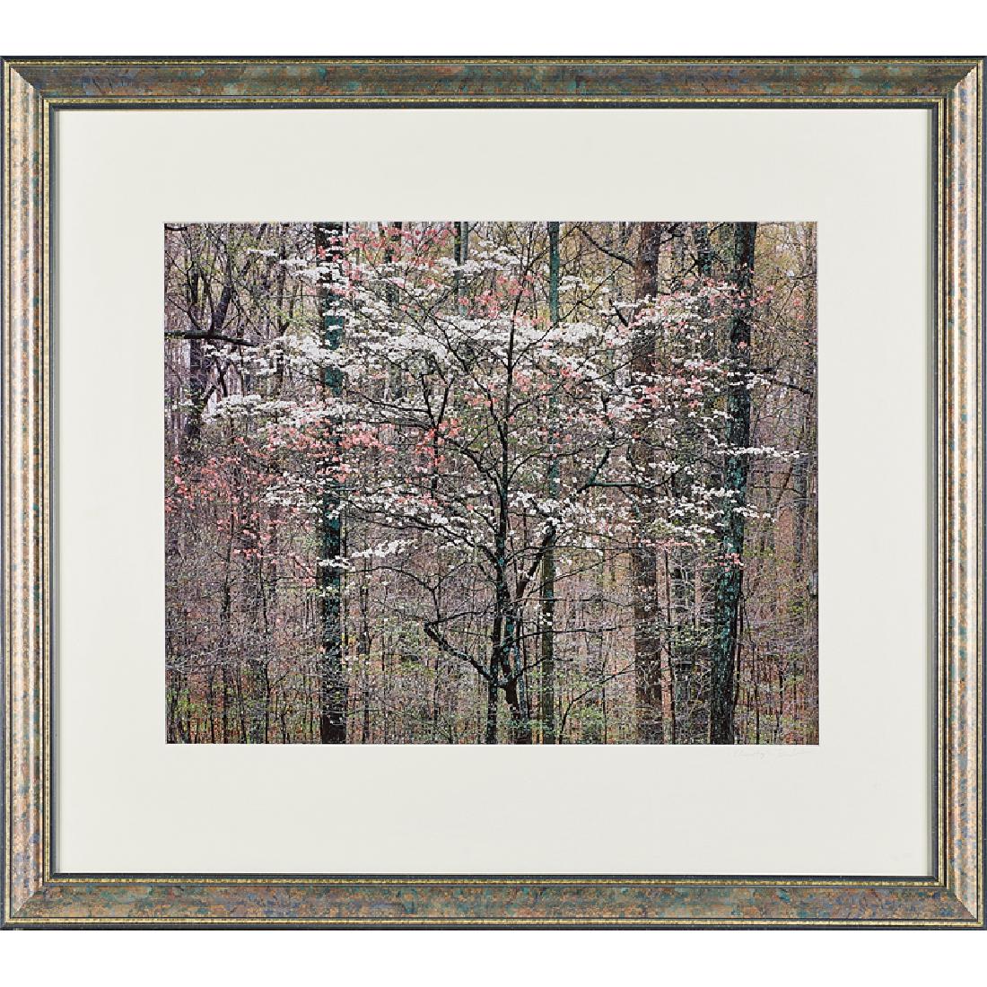 CHRISTOPHER BURKETT (American, b. 1951) (1 of 1)