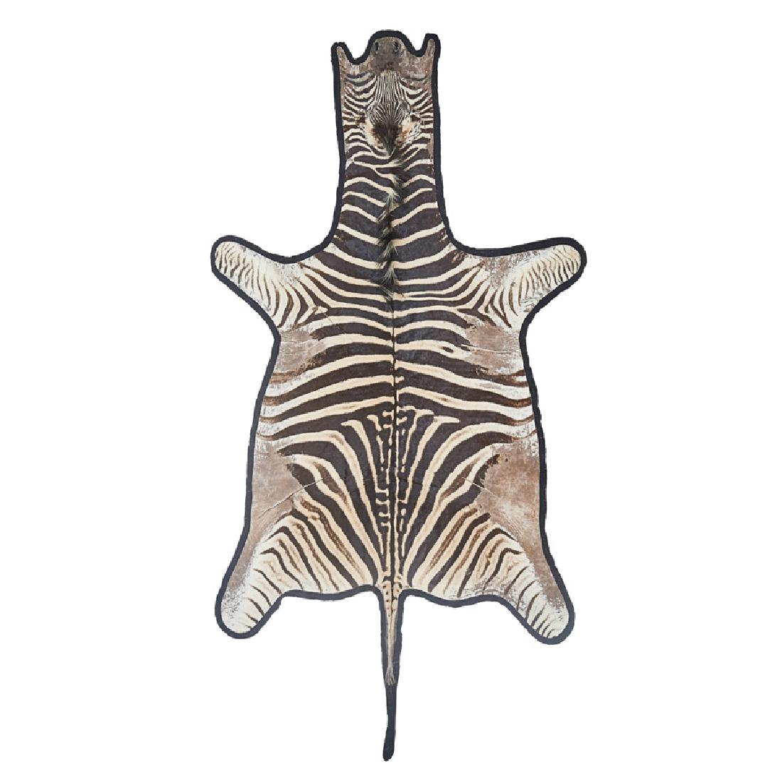 ZEBRA HIDE RUG: Felted, Africa Unmarked 126" x 70 1/2"