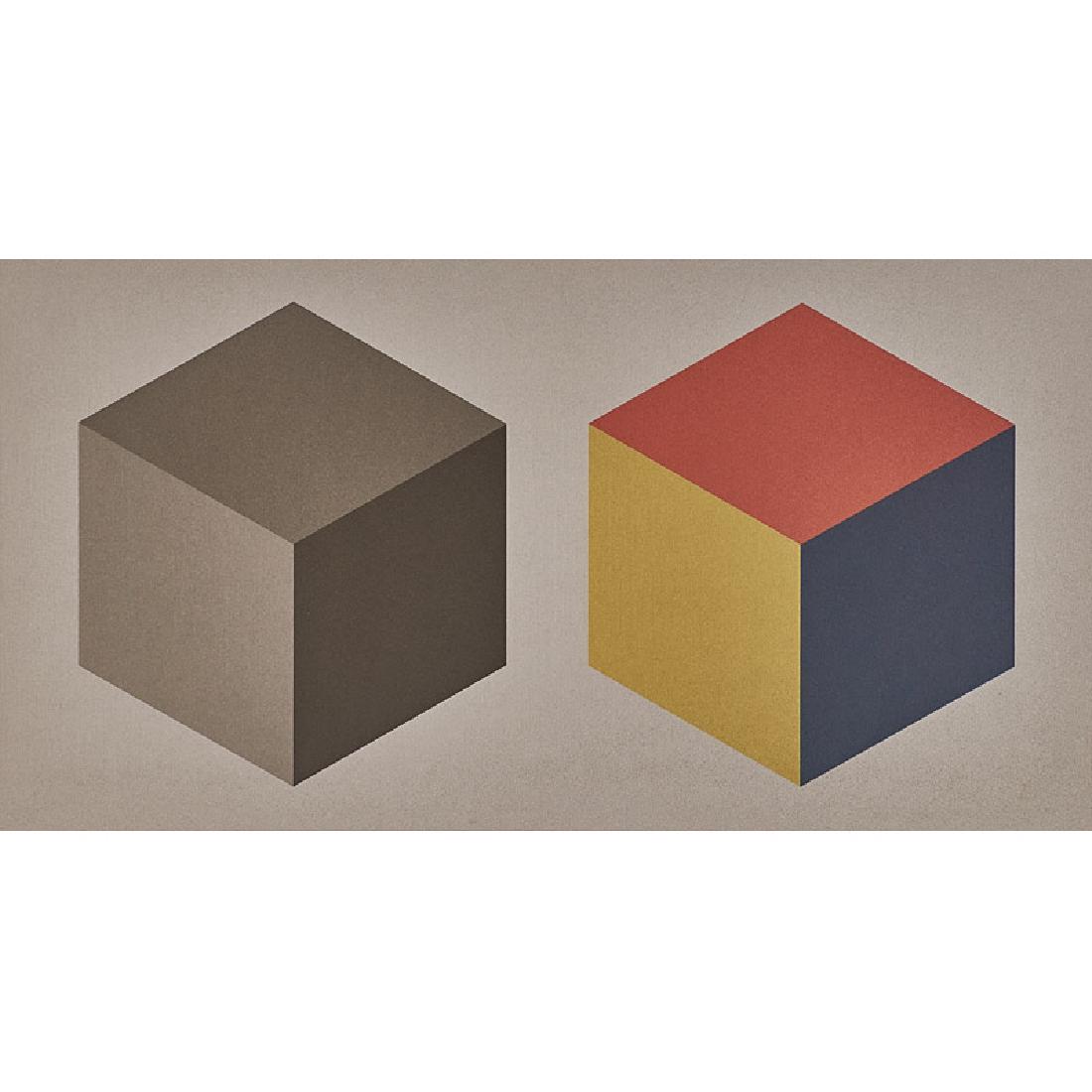 Sol LeWitt (American, 1928-2007): Double Cubes in Grays and Colors Superimposed, 1989 Screenprint in colors (framed) Signed and numbered 87/150 20" x 32 1/2" (sheet) Printer: Watanabe Studio, Brooklyn Publisher: Friends of the Philade