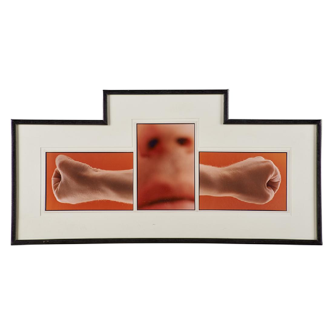 Thomas Florschuetz (German, b. 1957): Untitled; Three c-prints framed together; 9 1/4" x 24 1/2" (total); Provenance: Collection of Joshua P. Smith