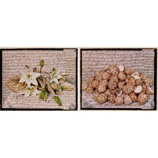 Lalla Essaydi (Moroccan, b. 1956): Two works of art; Apparel V (Virginal White Flowers) from Night of the Henna portfolio (Converging Territories series, 2005; Chromogenic print (framed); Number 6/36; 18 1/2" x 22 3/4" (sight); Apparel