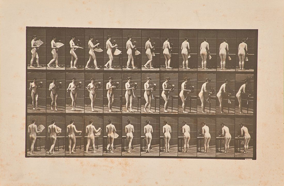 EADWEARD MUYBRIDGE (British/American, 1830-1904): Five plates, one from The Human and Animal Locomotion Photographs Collotypes (all unframed) 1887 Printed artist's copyright Largest: 19" x 24"