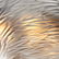 DAN DAILEY; WATERFORD Birds in Flight chandelier - 10