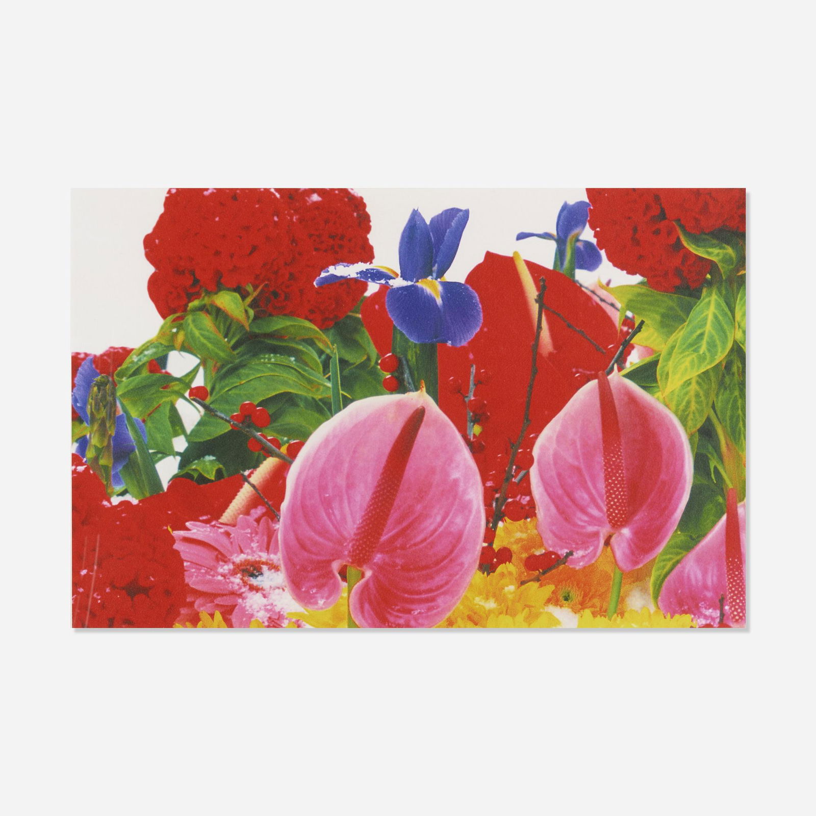 Marc Quinn, Untitled from the Winter Garden series: Marc Quinn Untitled from the Winter Garden series 2004pigment print14 h × 21.5 w in (36 × 55 cm) This work is from the edition of 100 published by Paragon Press, London. Provenance