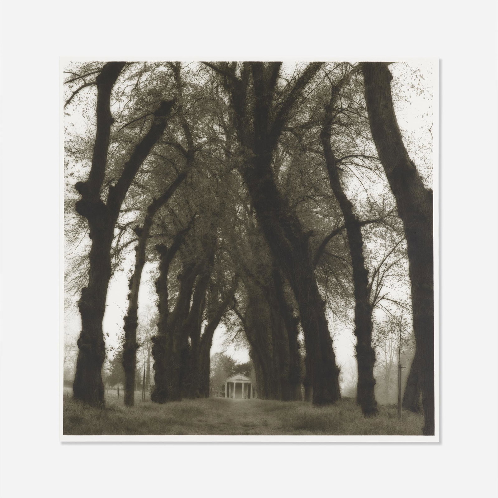 Lynn Geesaman, Parc de Canon, France from Poetics of: Lynn Geesaman Parc de Canon, France from Poetics of Place. 1995 toned gelatin print 26 h × 25.5 w in (66 × 65 cm) Provenance: Yancey Richardson Gallery, New York | Priv