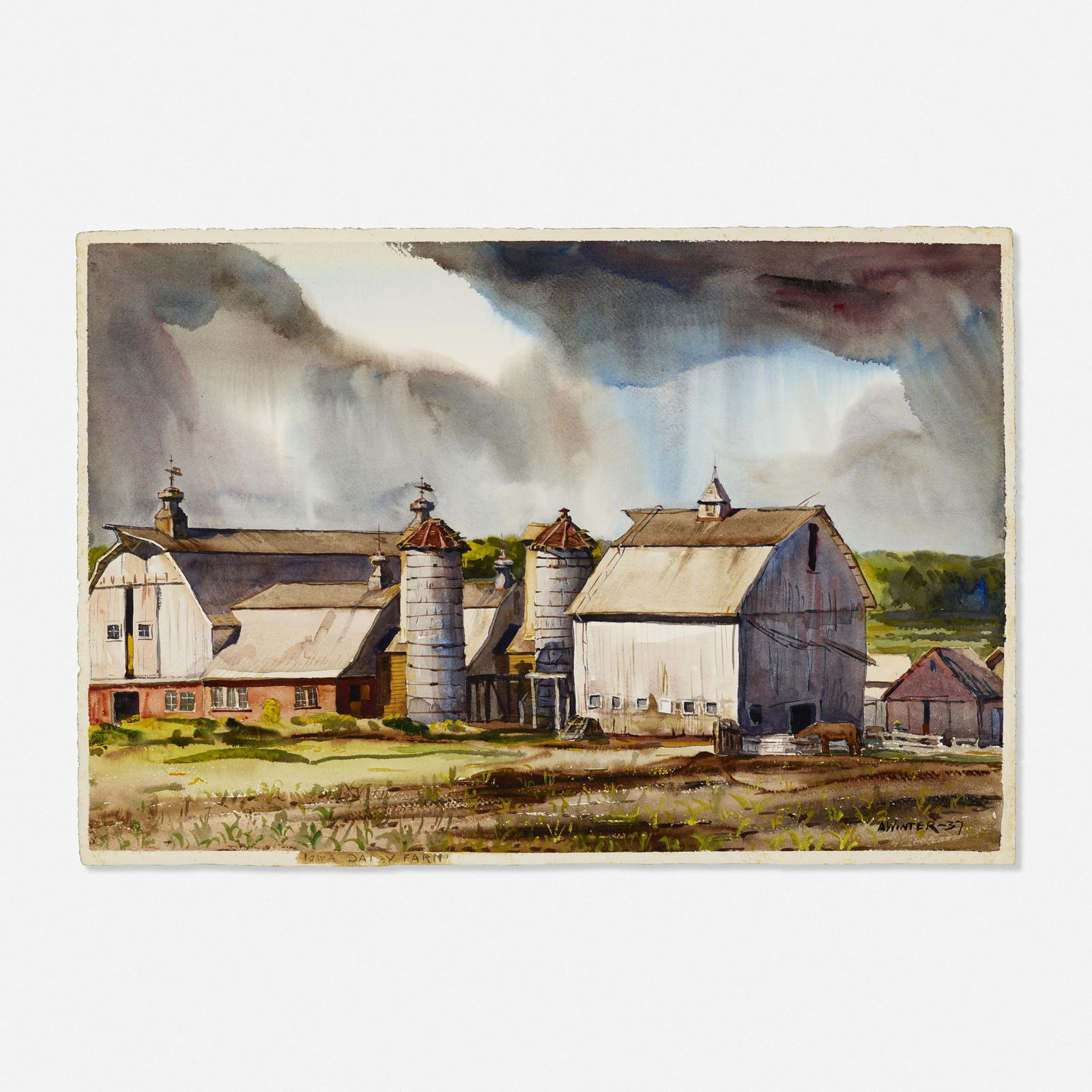 Andrew Winter, Iowa Daisy Farm (1 of 1)