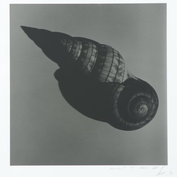 MICHEL COMTE (Swiss, b. 1954): MICHEL COMTE (Swiss, b. 1954) Two untitled gelatin silver prints, 1991. Signed and dated. 12'' x 11 1/2'' (image), 20'' x 16'' (sheet), 16'' x 12 1/2'' (image), 20'' x 16'' (sheet). Provenance: Privat