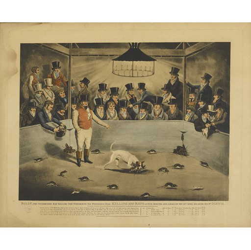 810: 19TH C. PRINT Billy the Celebrated Rat Killing Dog