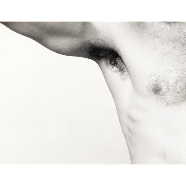 Robert Mapplethorpe (American, 1946-1989) Vincent: Robert Mapplethorpe (American, 1946-1989) Vincent, 1981; Gelatin silver print (framed); Stamped, edition 1/10; 15'' x 18 3/4'' (sight); Provenance: The Robert Mapplethorpe Foundation, Inc., New York (