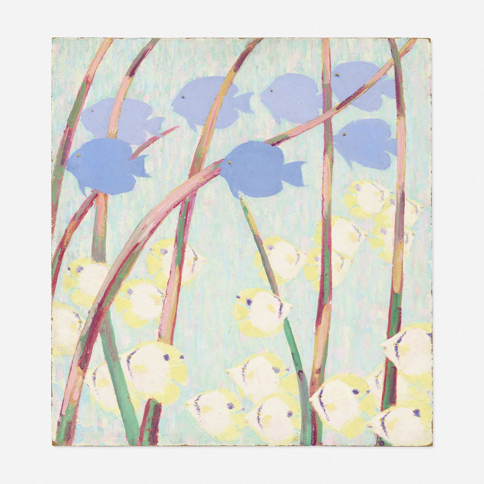 Harry Hoffman, Tang and Butterfly Fish (1 of 2)