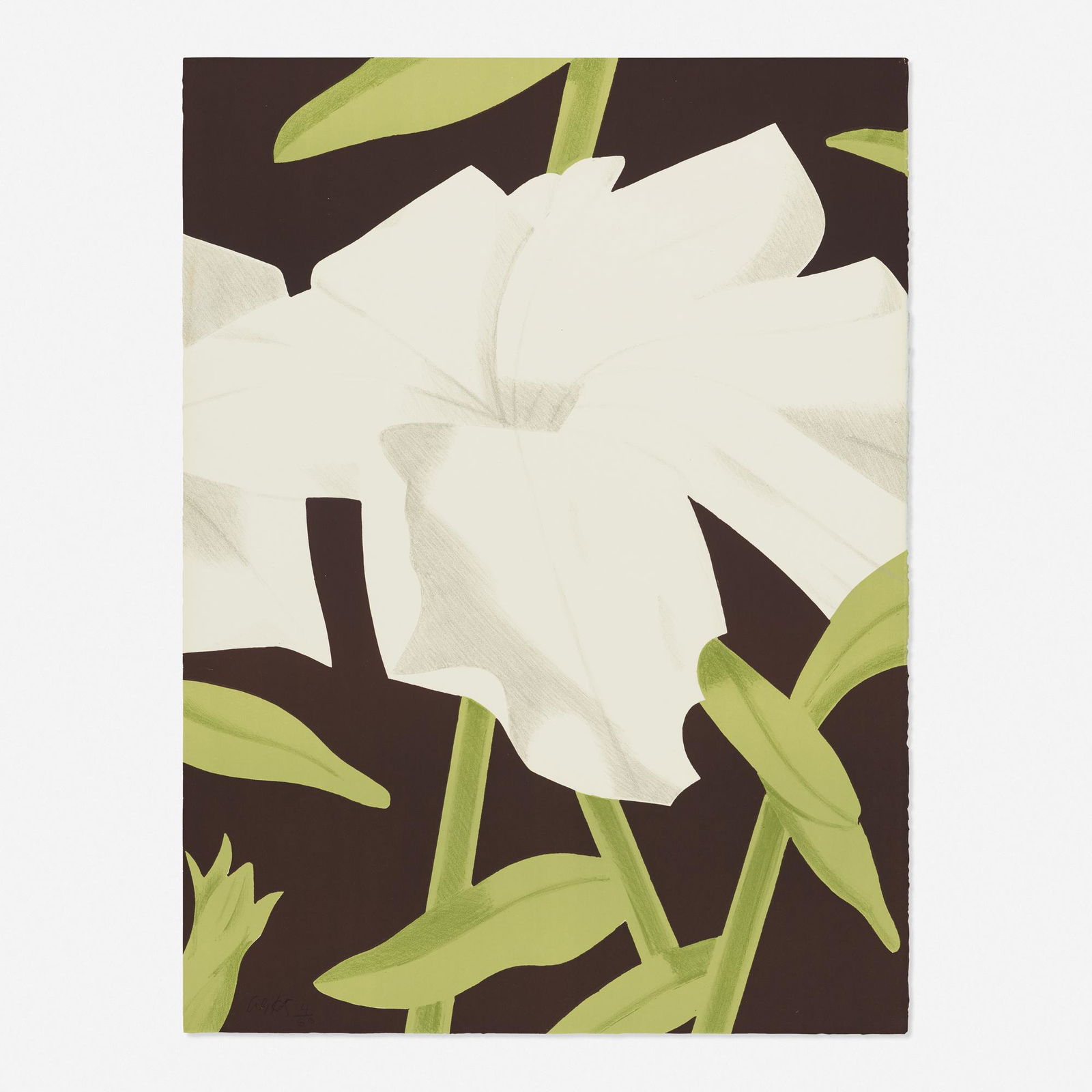 Alex Katz, White Petunia (1 of 1)