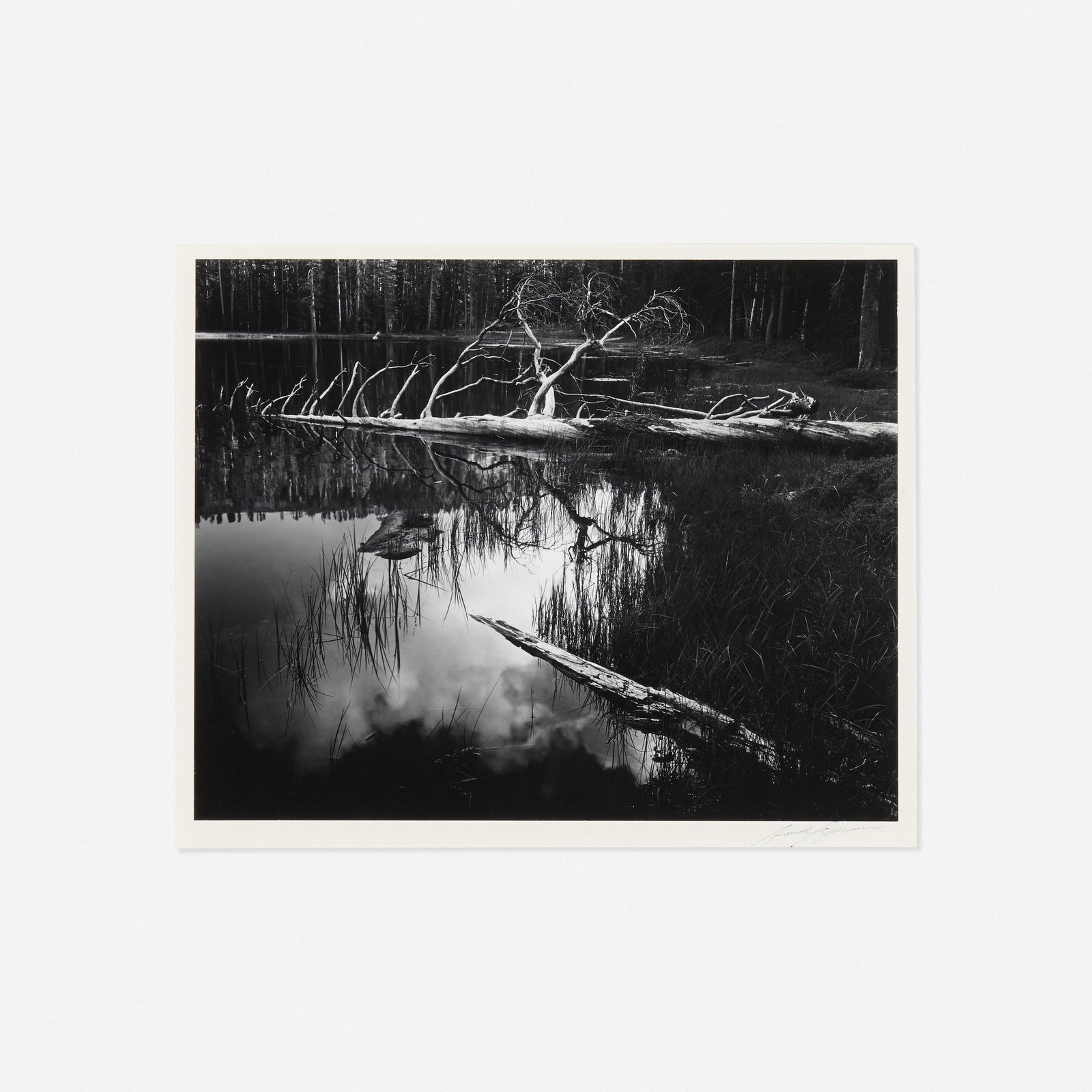 Ansel Adams, Siesta Lake (1 of 3)