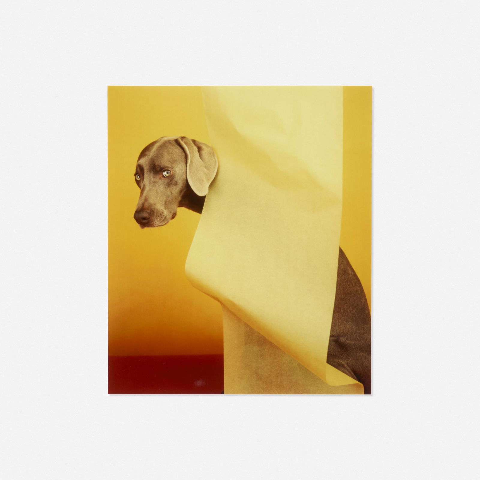 William Wegman, The Wave (1 of 3)