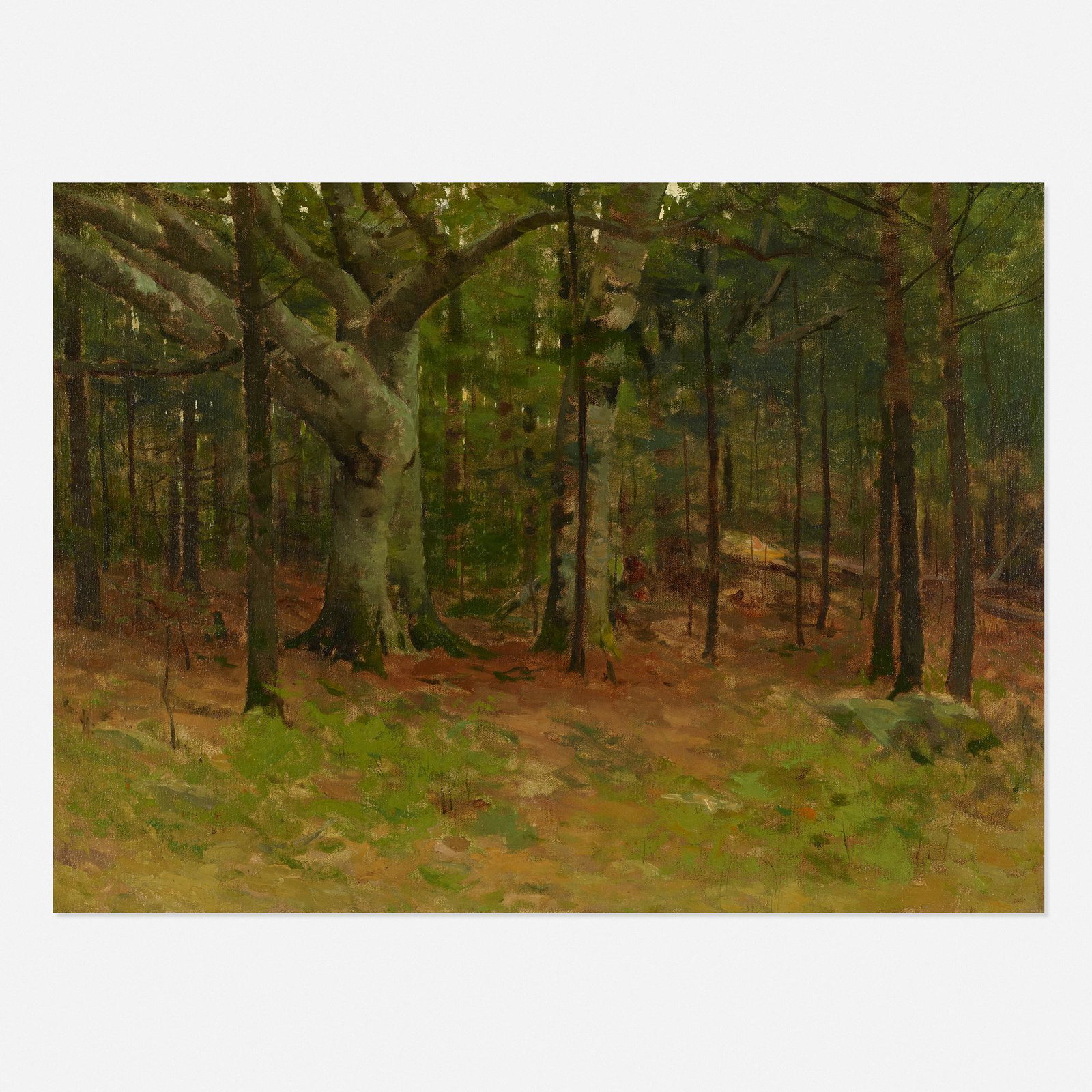 Charles Warren Eaton, Woodland Interior: Charles Warren Eaton Woodland Interior oil on canvas 16 h × 22 w in (41 × 56 cm)