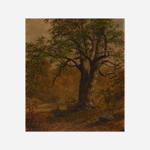 William Moore Davis, Study of a Tree: William Moore Davis Study of a Tree oil on artist's board 14 h × 12 w in (36 × 30 cm) Signed to lower right 'W. M. Davis'. Provenance: Berry-Hill Galleries, New York