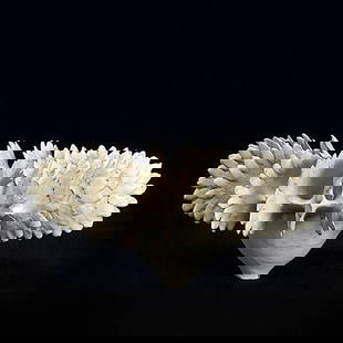 URSULA MORLEY PRICE; Bisque fired porcelain bowl: URSULA MORLEY PRICE; Bisque fired porcelain bowl; Chop mark; 6'' x 12''