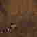 item-120313799=5