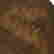 item-120313822=4