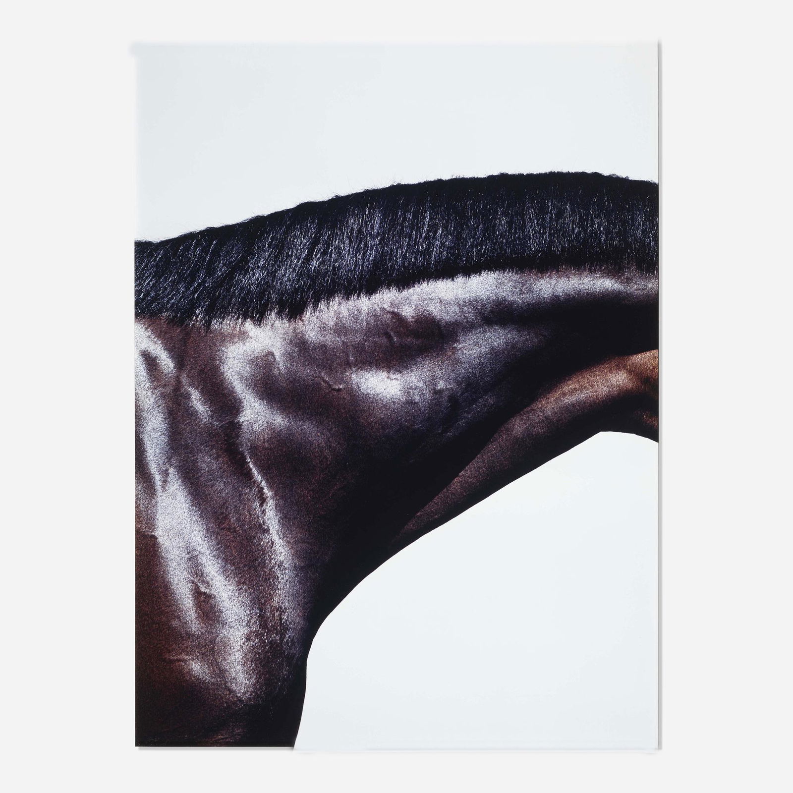 Steven Klein, Prancer: Steven Klein Prancer 2007c-print mounted to aluminum 39 h × 29 w in (99 × 74 cm) This work is from the edition of 7. Provenance: Vered Gallery, East Hampton