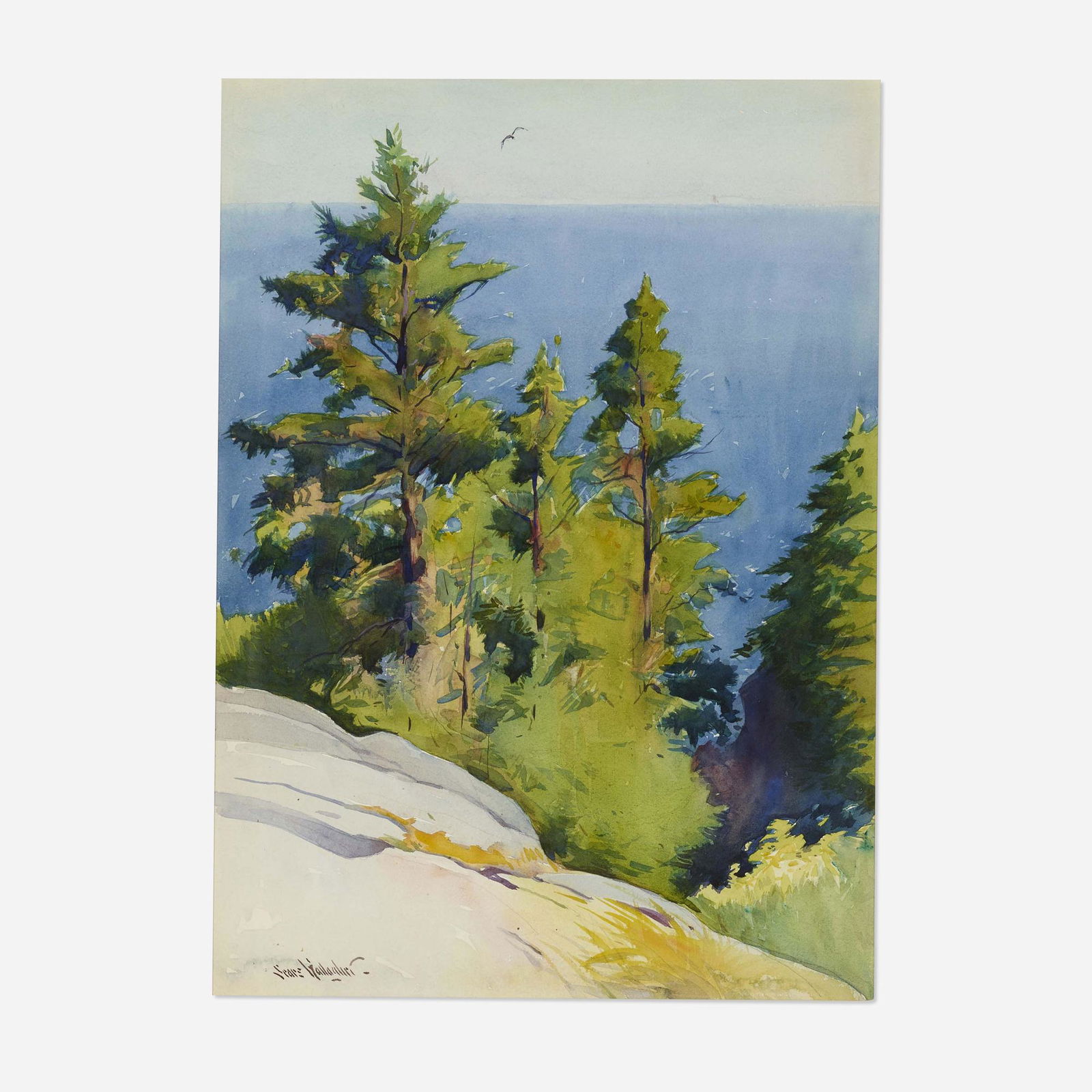 Sears Gallagher, Pinetrees, Coastline (1 of 4)