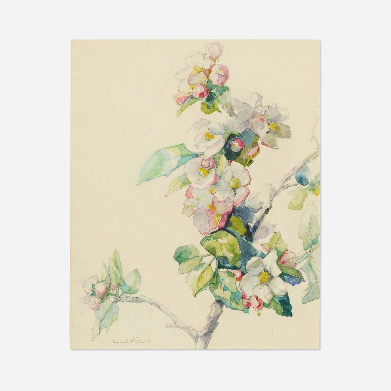 Ida Wells Stroud, Cherry Blossoms (1 of 4)