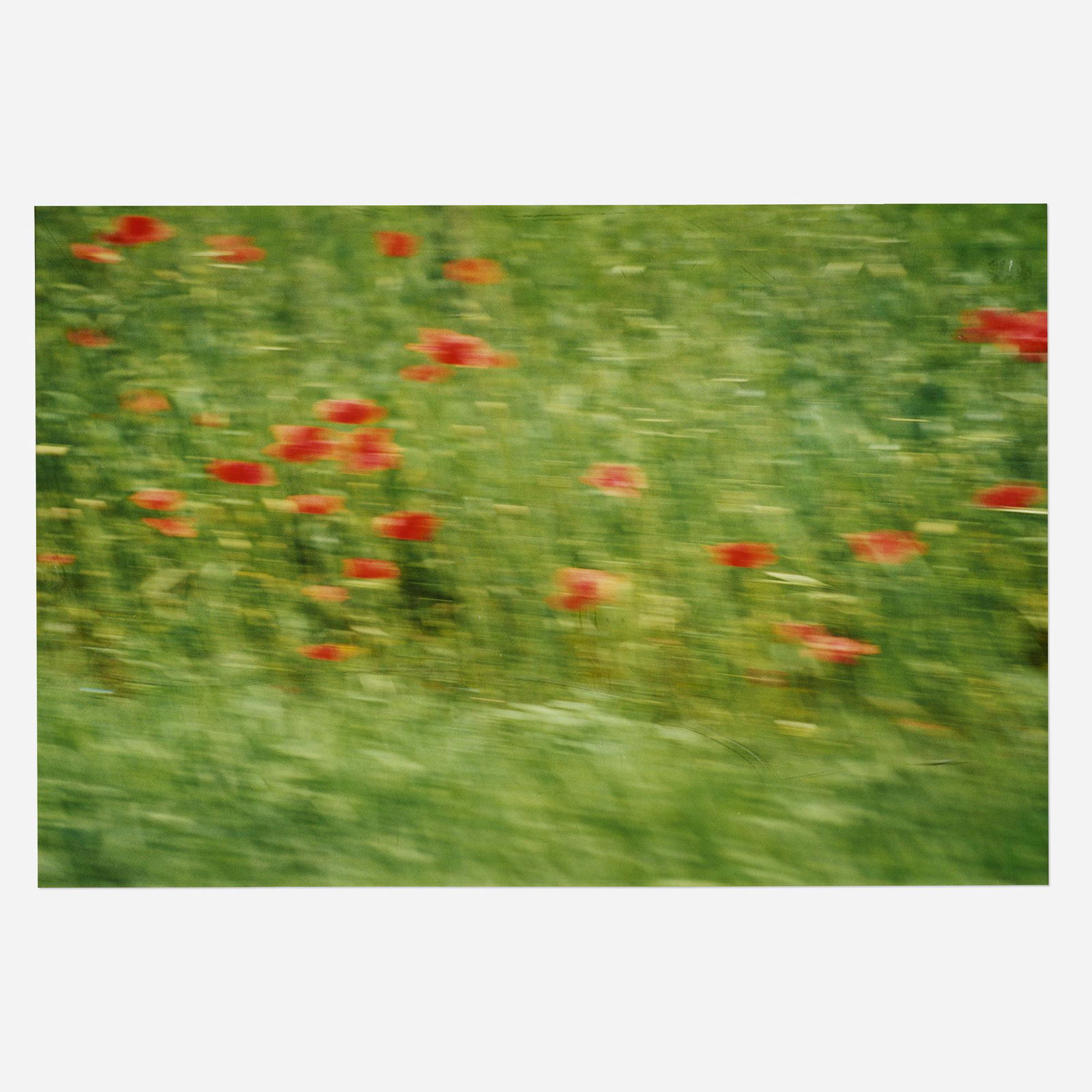 Annette Lemieux, Drive By Poppies: Annette Lemieux Drive By Poppies 1998/2001c-print on Sintra 25.25 h × 37.75 w in (64 × 96 cm) This work is number 1 from the edition of 6. Provenance: Barba