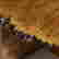 item-135964877=7