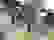 item-9883368=3