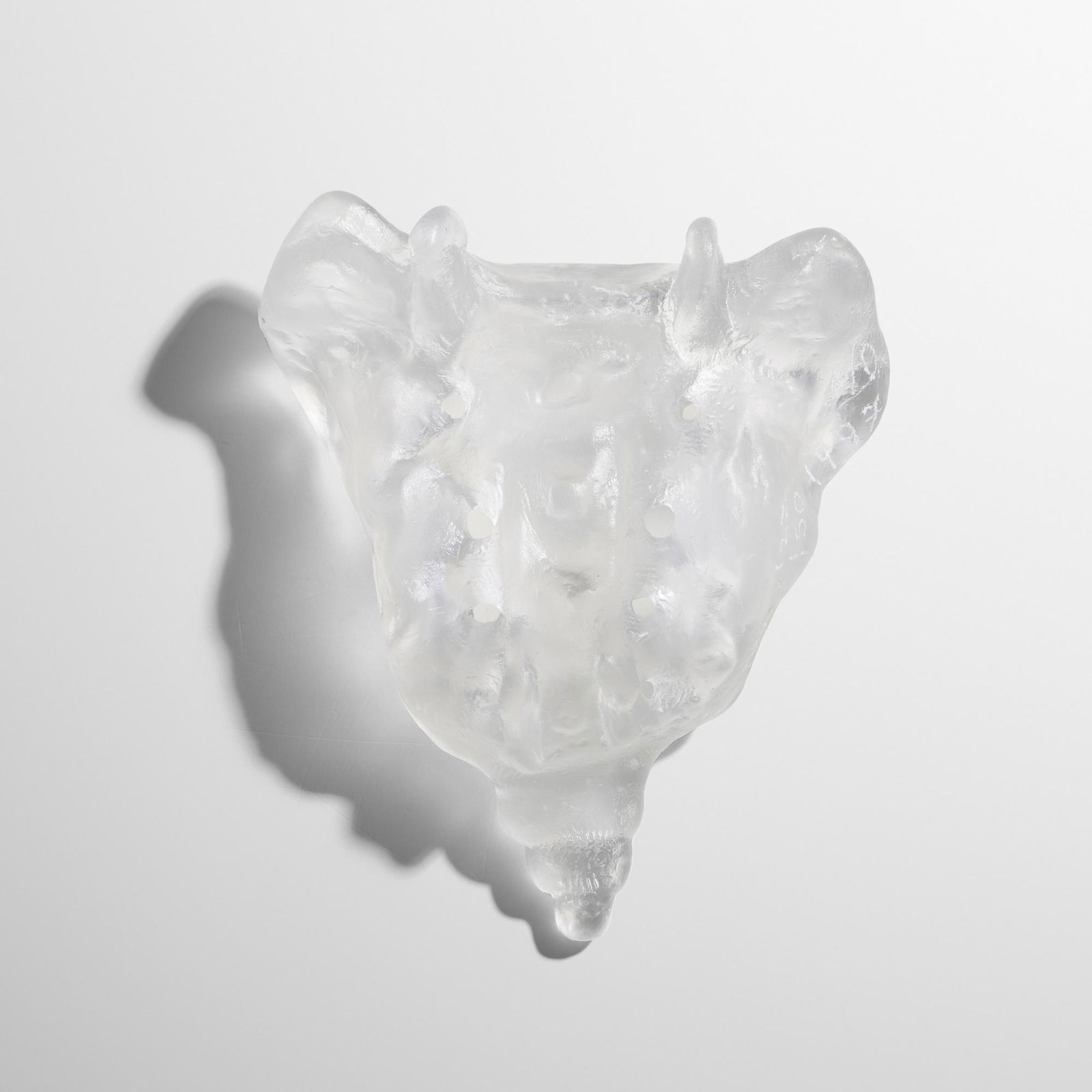 Kiki Smith, Tail (1 of 5)