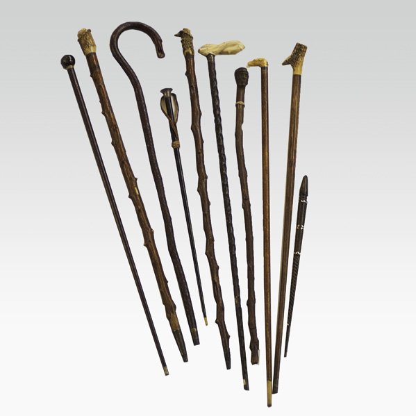 CANE GROUP: CANE GROUP; Ten 19th/20th c. include: dog-form carved ivory head, carved ivory head in the shape of entwined twigs, three horn topped, etc.; Longest: 35'' Note: International bids and bids issuing fro