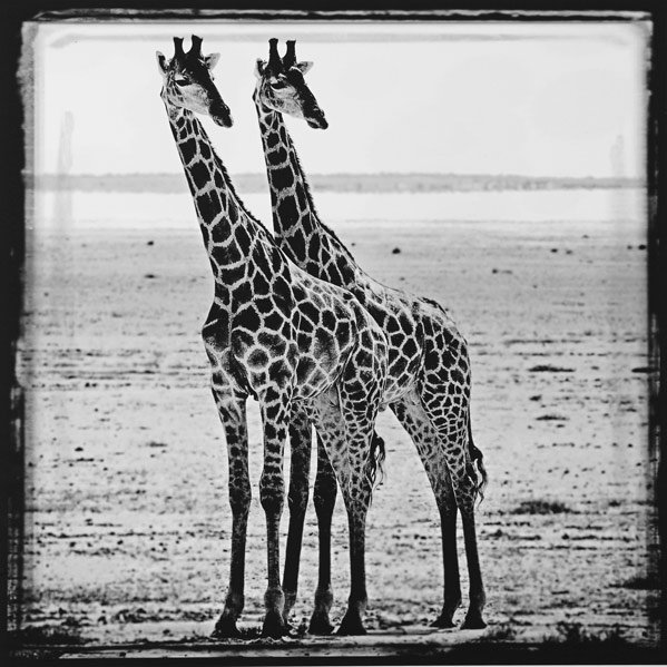 Laurent Baheux (French, b. 1970): Twin Towers, 2010; Archival pigment print; Signed and numbered 6/25 on label on verso; 24" x 20" (sheet); Provenance: Private Collection, New York