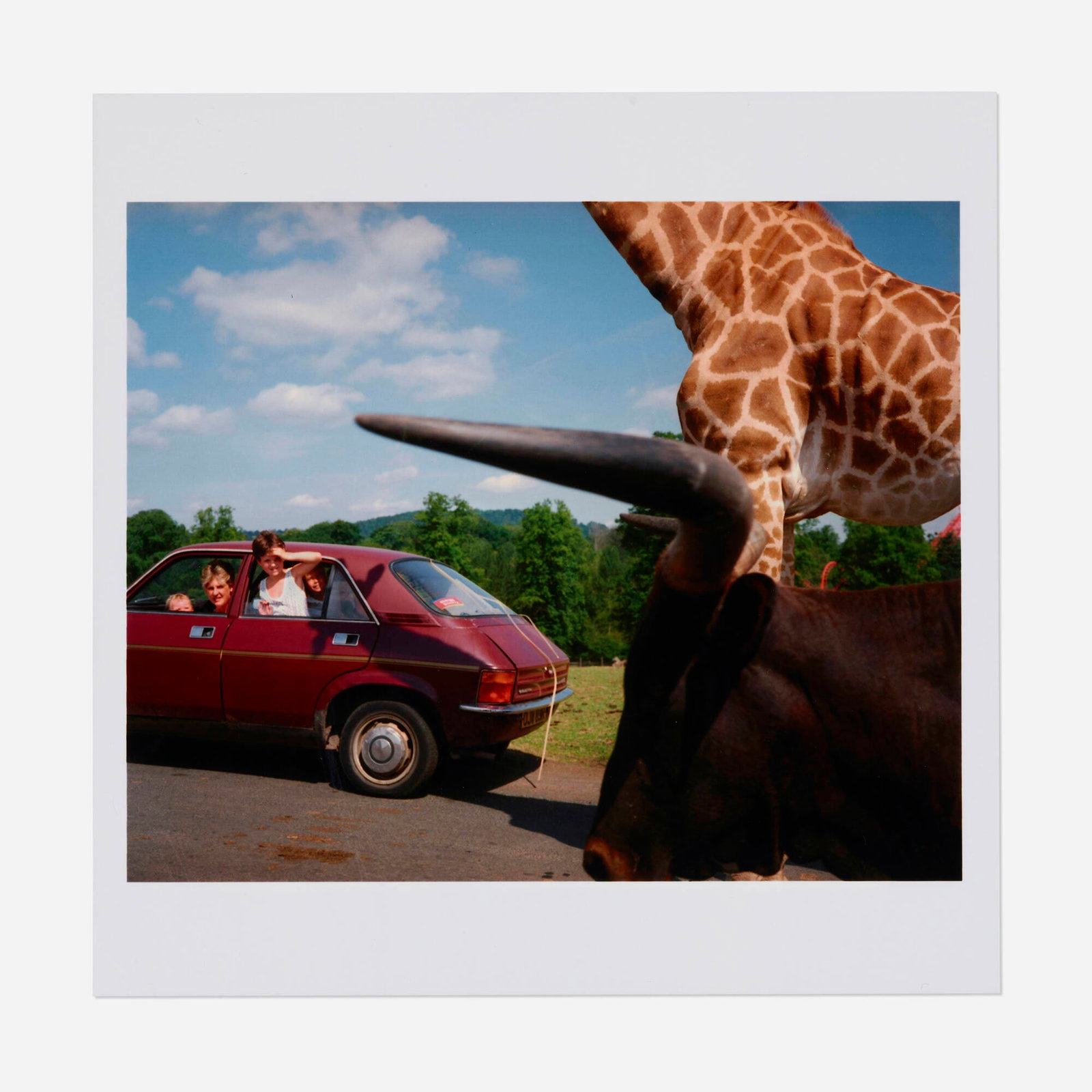 Martin Parr, Knowsley Safari Park, England (1 of 4)