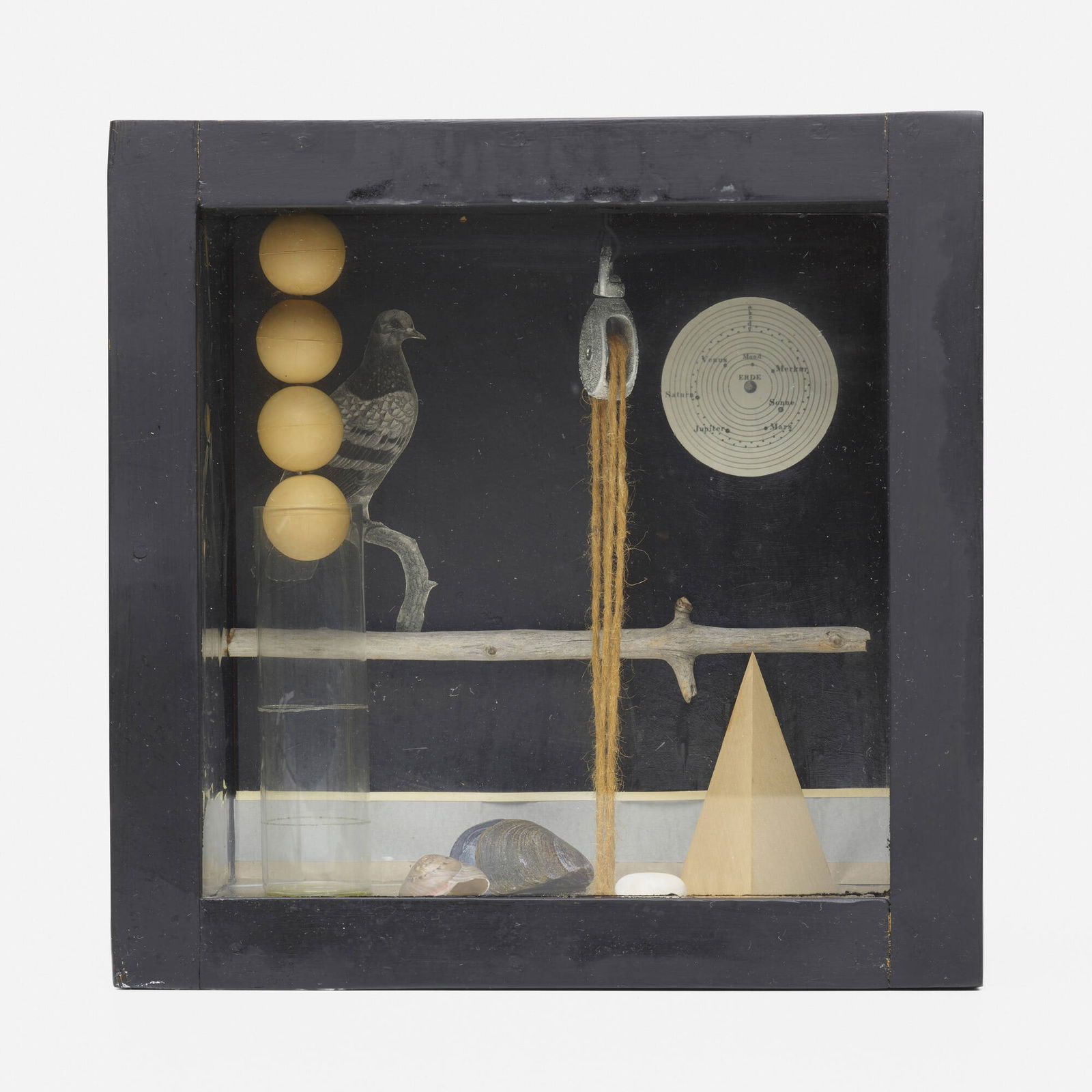 Rosamond Berg, Rock Dove (1 of 3)