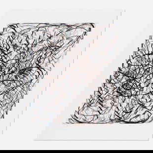Charles Arnoldi, String Theory III: Charles Arnoldi String Theory III 2016 polymer gravure with etching and photo-etching in colors on Somerset 40.375 h x 34.50 w in (103 x 88 cm) Signed, dated and numbered to lower edge '28/45