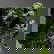 item-171383064=4