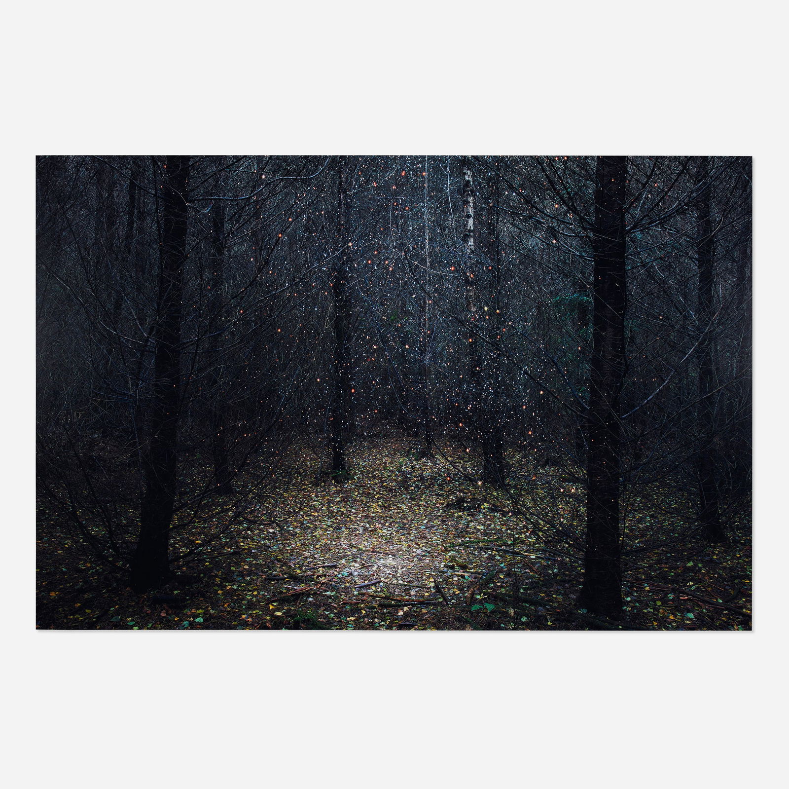 Ellie Davies, Stars I (1 of 3)