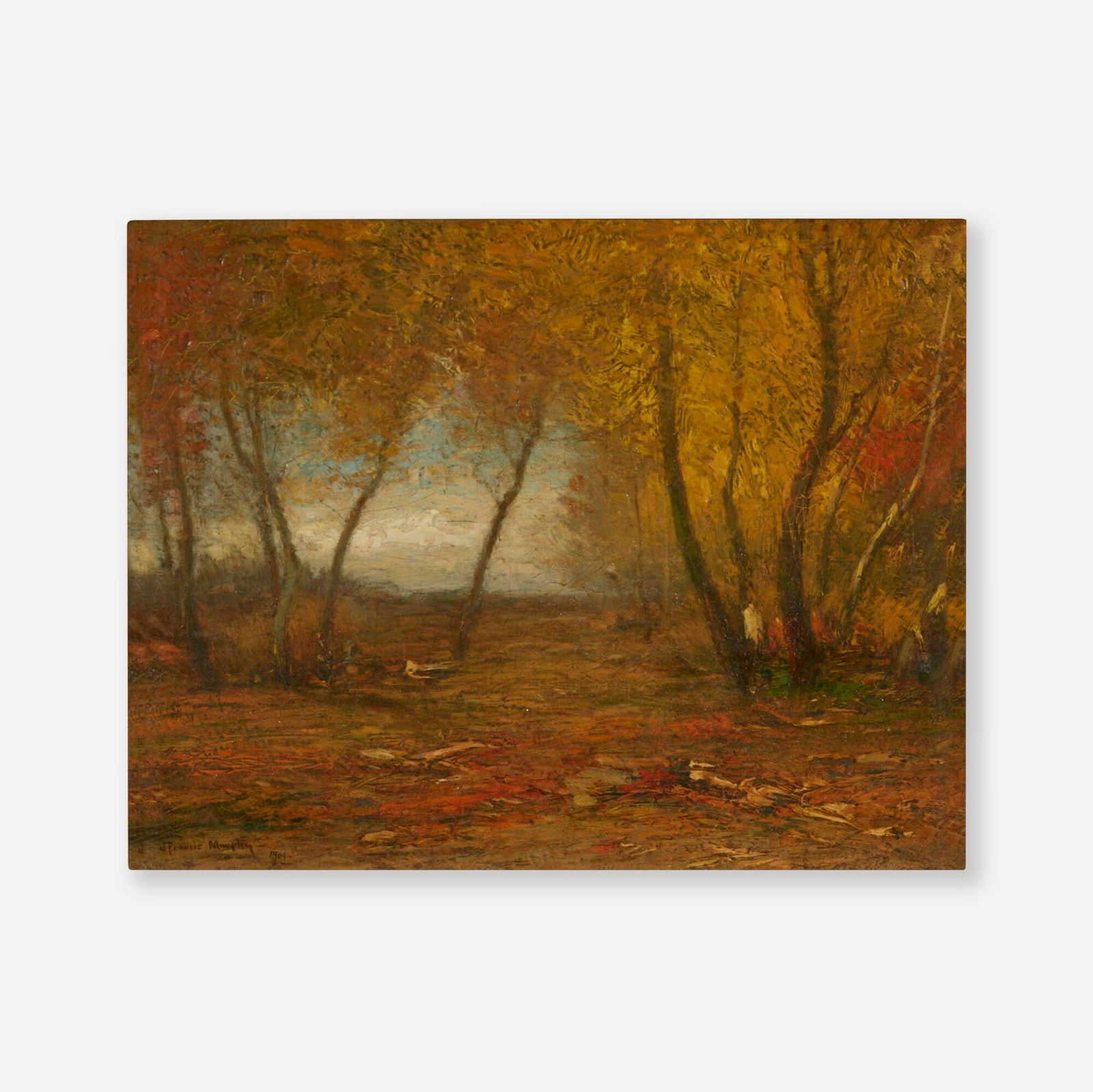 John Francis Murphy, Untitled (Forest Scene) (1 of 4)
