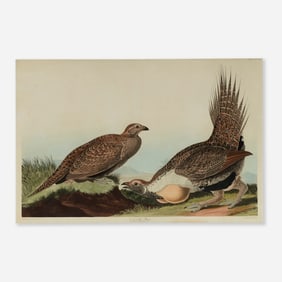 After John James Audubon, Cock of the Plains