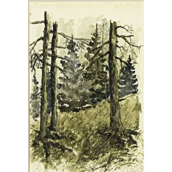 Russian School (Early 20th C.) (Attr.): Two works of art: Ivan Ivanovich Endogrouroff (1861-1898)(Attr.); Forest; Watercolor on paper (framed); Signed; 6" x 4" (sight); Nikolai Ivanovich Makarov (Russian, 20th C.)(Attr.); Taiga, 1920-30; Gr