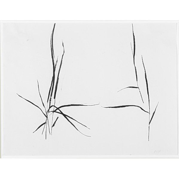 Susan Hartnett (American, b. 1940): Four works of art: Aug 3, '98 #3, 1998; Charcoal on paper (framed); Signed; 18" x 23 3/4" (sheet); May 14, '98 #5, 1998; Charcoal on paper (framed); Signed; 18" x 23 3/4" (sheet); Untitled; Charcoal o