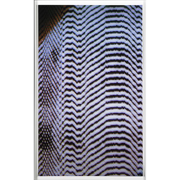 Tauba Auerbach (American, b. 1981): Static 19, 2011; C-print (framed); Signed and numbered from an edition of 30; 22 3/4" x 15 7/8" (sheet); Provenance: Private Collection, New York