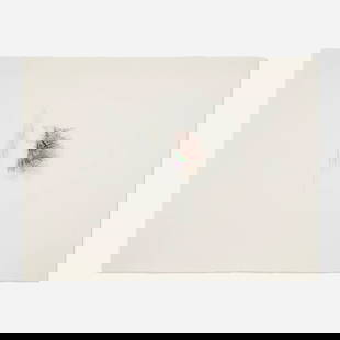 Alan Saret, Care's Pass Brought: Alan Saret Care's Pass Brought 1984colored pencil on Arches 22.5 h x 30 w in (57 x 76 cm) Provenance: James Cohan Gallery, New York | Private Collection Th
