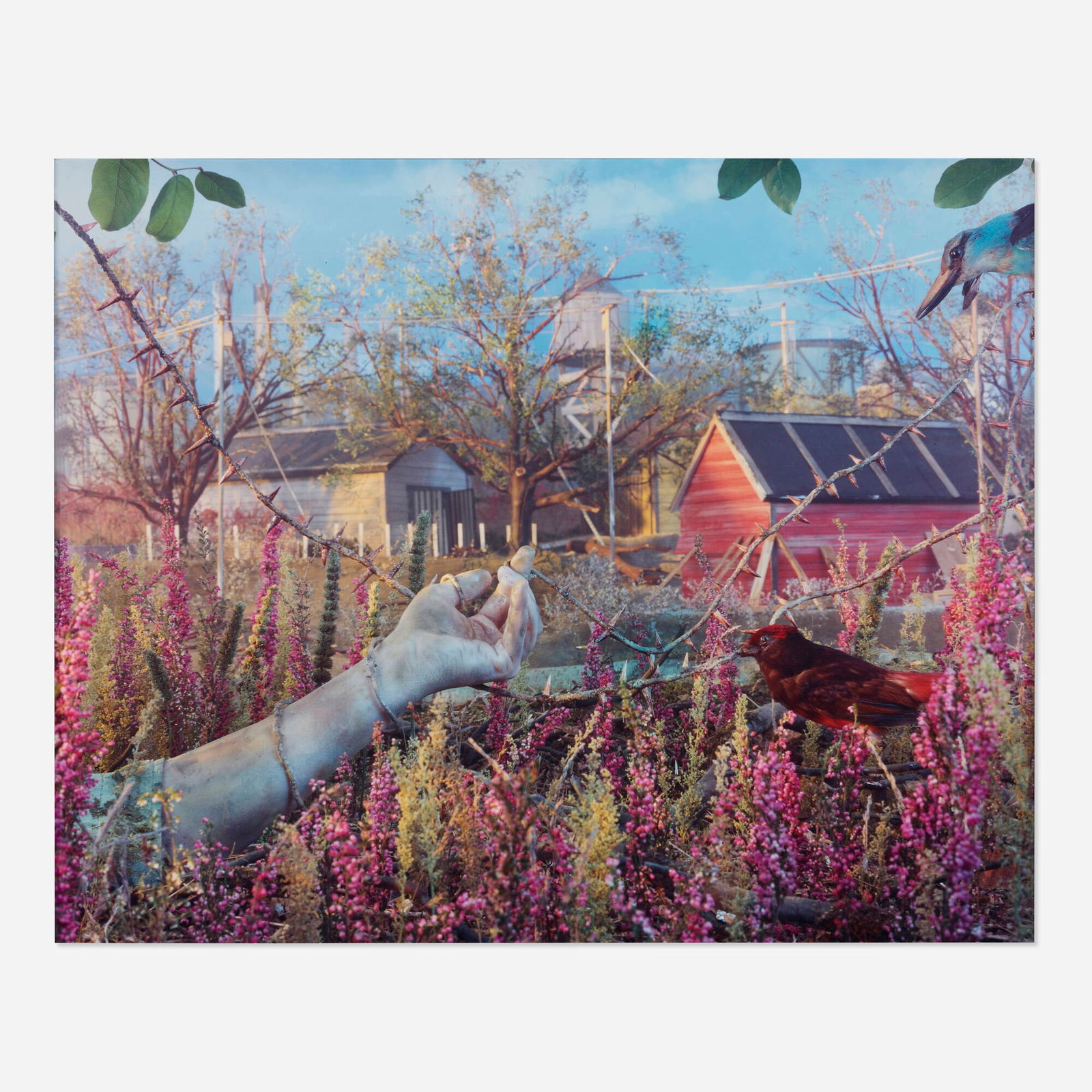 Gregory Crewdson, Untitled (Hand With Vines): Gregory Crewdson Untitled (Hand With Vines) 1995C-print mounted to Sintra 36.75 h x 45.75 w in (93 x 116 cm) This work is number 2 from the edition of 6. Provenance: Lu