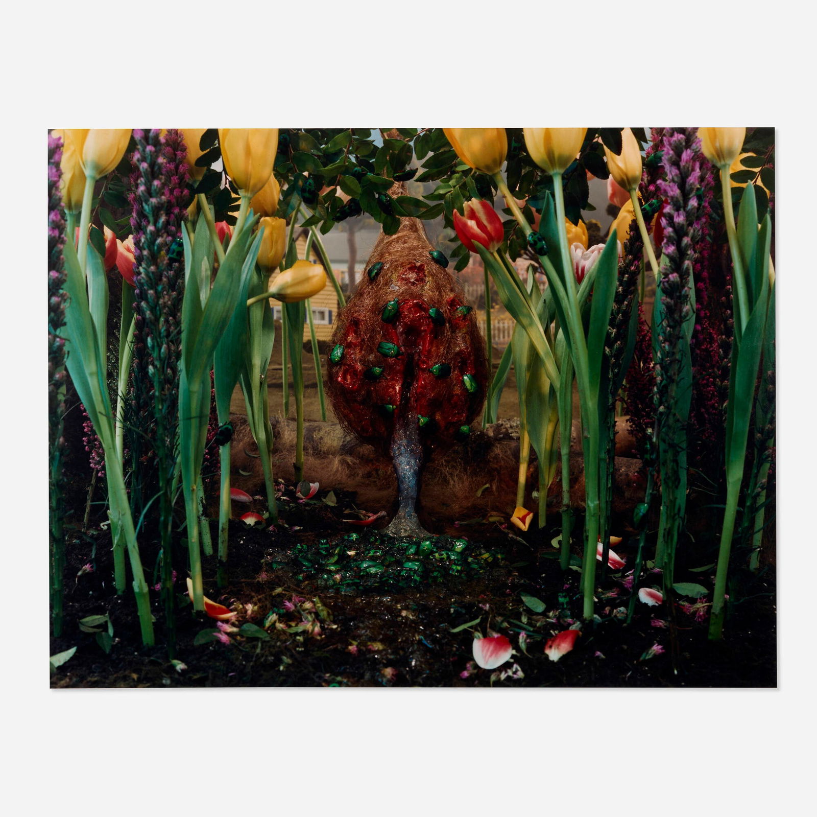 Gregory Crewdson, Untitled (Vaginal Gourd) (from the Natural Wonder series): Gregory Crewdson Untitled (Vaginal Gourd) (from the Natural Wonder series) 1995C-print mounted to board image: 27.625 h x 25.625 w in (70 x 65 cm) sheet: 29.875 h x 39.875 w in (76 x 101 cm) mo