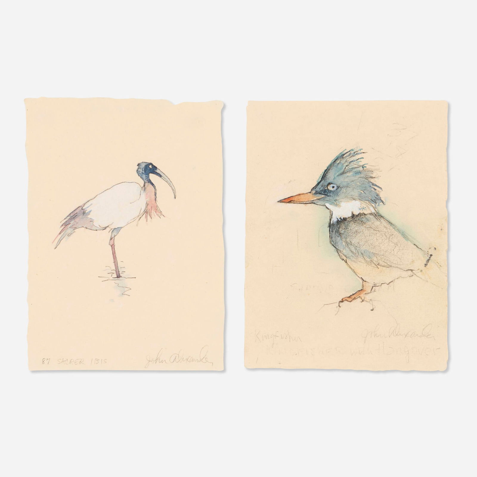 John Alexander, Sacred Ibis, Kingfisher (two works): John Alexander Sacred Ibis, Kingfisher (two works) 2000watercolor on paper each: 7.75 h x 5.75 w in (20 x 15 cm) Signed, titled and numbered to lower edge of each work '87 Sacred Ibis John Ale
