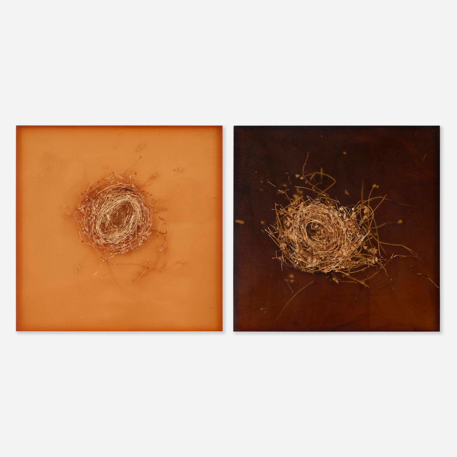 Mayme Kratz, Knots #37; Knots #44 (two works): Mayme Kratz Knots #37; Knots #44 (two works) 2004resin, weeds and paint on board each: 11 h x 11 w x 1.75 d in (28 x 28 x 4 cm) Signed, dated and numbered to verso of each work '#44 Kratz 2004