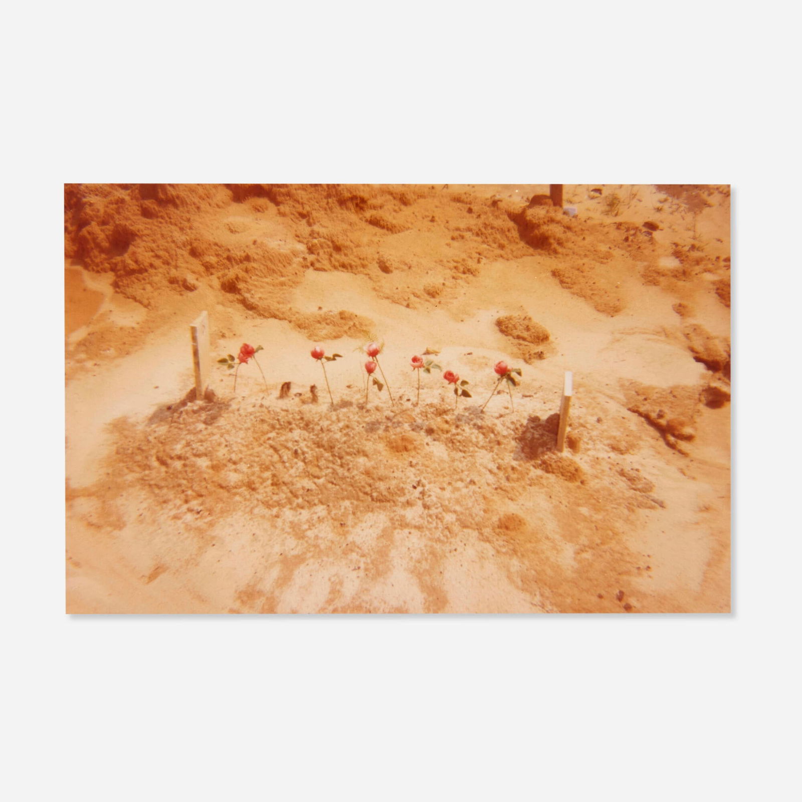 William Christenberry, Untitled (Child's Grave with Rosebuds), Hale County, Alabama: William Christenberry Untitled (Child's Grave with Rosebuds), Hale County, Alabama 1975C-print image: 3.125 h x 4.875 w in (8 x 12 cm) sheet: 8 h x 10 w in (20 x 25 cm) Signed, dated and nu