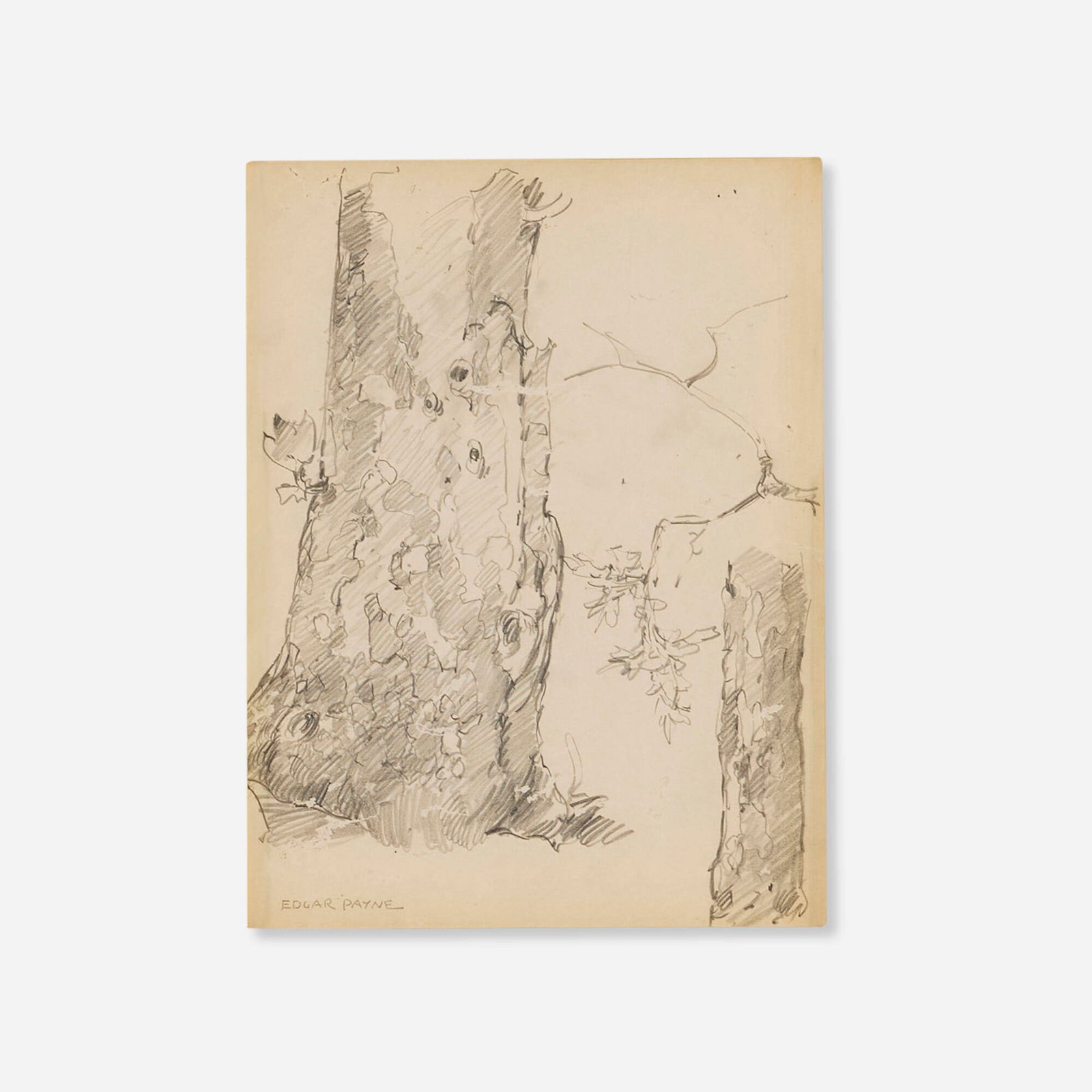 Edgar Alwin Payne, The Sycamore Stump: Edgar Alwin Payne The Sycamore Stump c. 1925graphite on paper 11 h x 8.5 w in (28 x 22 cm) Signed to lower left 'Edgar Payne'. This work will ship from Los Angeles, Califor