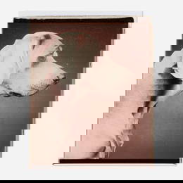 William Wegman, Untitled