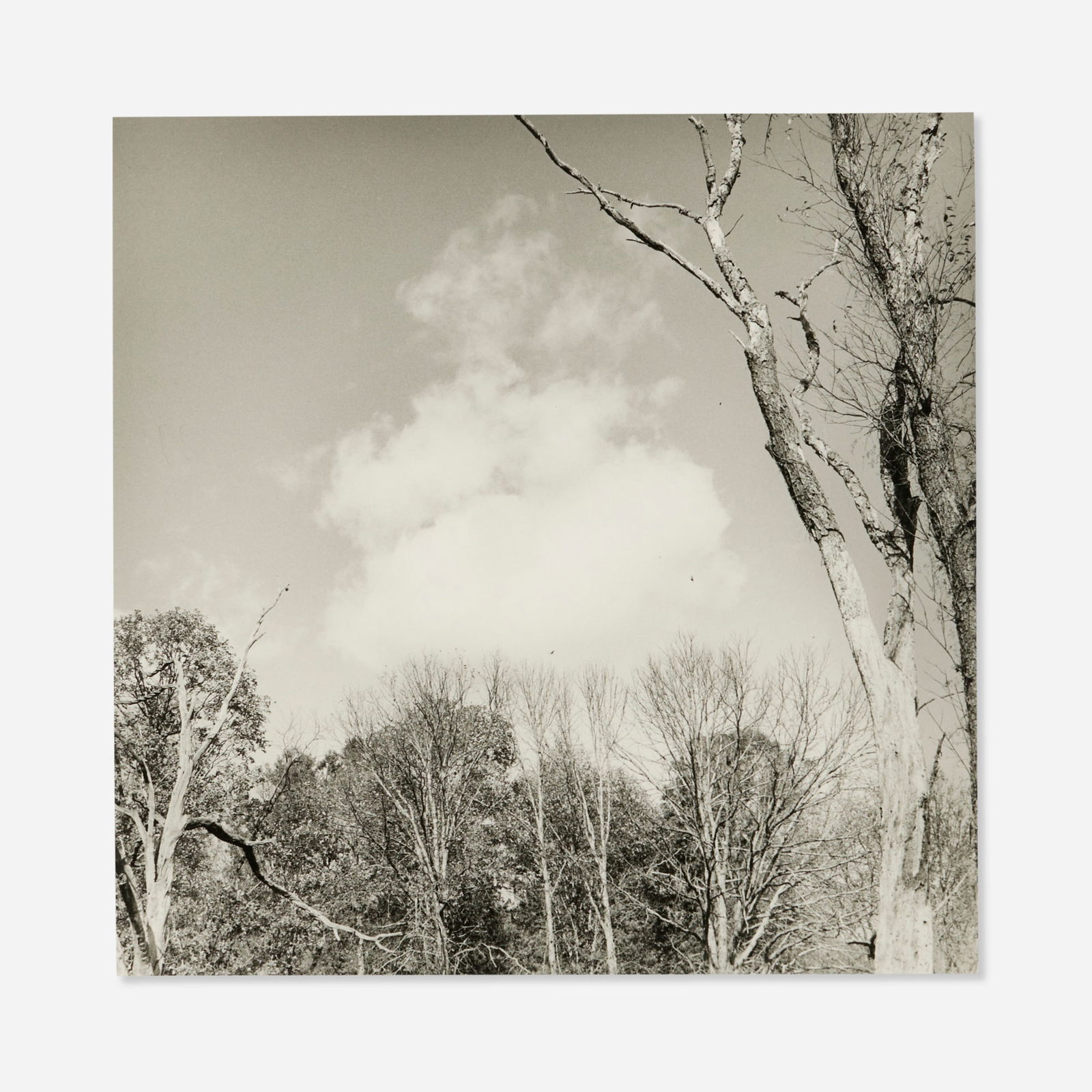 Larry  Fink, Untitled (1 of 3)